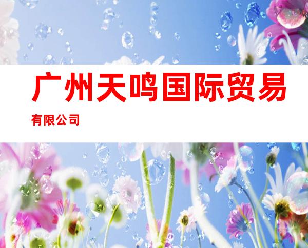 广州天鸣国际贸易有限公司