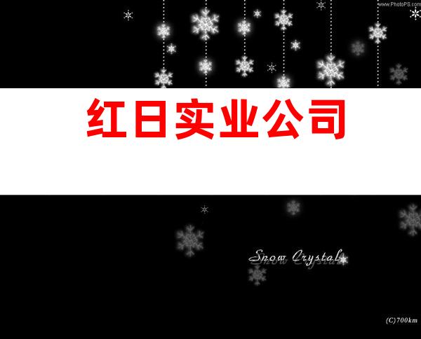 红日实业公司